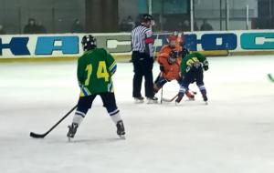 В Харькове состоялся рождественский детский хоккейный турнир